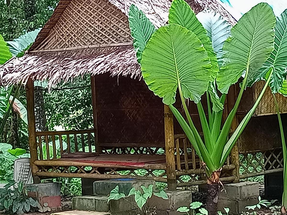 Ferienwohnung Khai Jungle Experience Camp & Tour Khao Sok National Park Exterior foto
